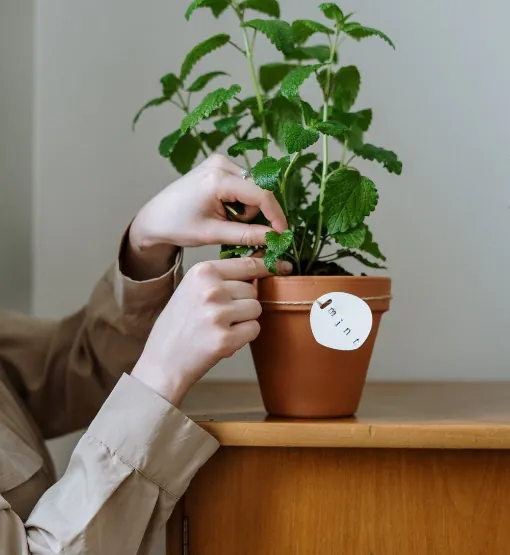 Services (blocksy) 5 services page image 3 optimized